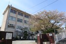 長丘小学校(小学校)まで350m EREINA