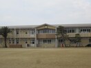 荒木小学校(小学校)まで146m セジュールゆいＢ棟