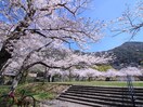 足立森林公園(公園)まで950m Ｃｌａｉｒｅ　ｃｏｕｒｔ