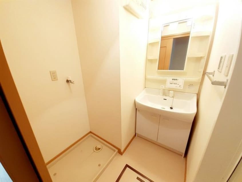 洗面 クリスマスロ－ズ