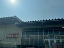 ルミエール　遠賀店(スーパー)まで260m サンパティーク Ｂ棟