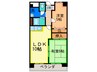 アネスト里中 2LDKの間取り