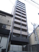 ネストピア天神東Ⅱ(702)の外観