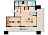 ｱﾒｯｸｽ博多ﾍﾞﾙﾃｯｸｽﾃｰｼﾞ(301) 1LDKの間取り