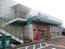 サニー(スーパー)まで900m リテラ香椎Ⅰ