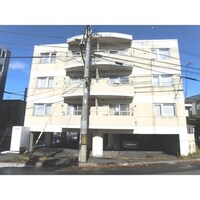 ステラ　プレミアム