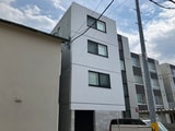 kopen court月寒