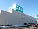 ニトリ(電気量販店/ホームセンター)まで250m Elvita