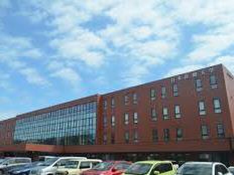 日本医療大学(大学/短大/専門学校)まで570m ハイツルナ