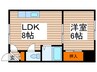 セラミック札幌 1LDKの間取り