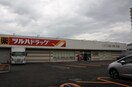 ツルハ(ドラッグストア)まで295m クラッセ宮の森ガ－デン
