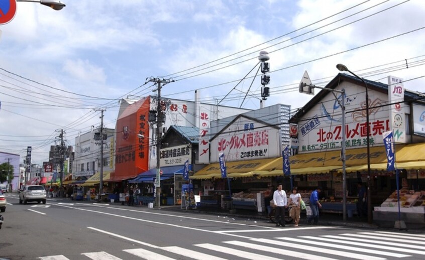 札幌場外市場(スーパー)まで600m レジデンス円山北