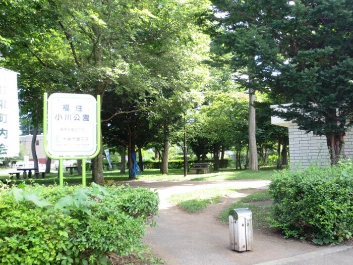 福住小川公園(公園)まで130m ル・ノ－ル福住