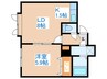 ｴｸｼｰﾄﾞ24 1LDKの間取り
