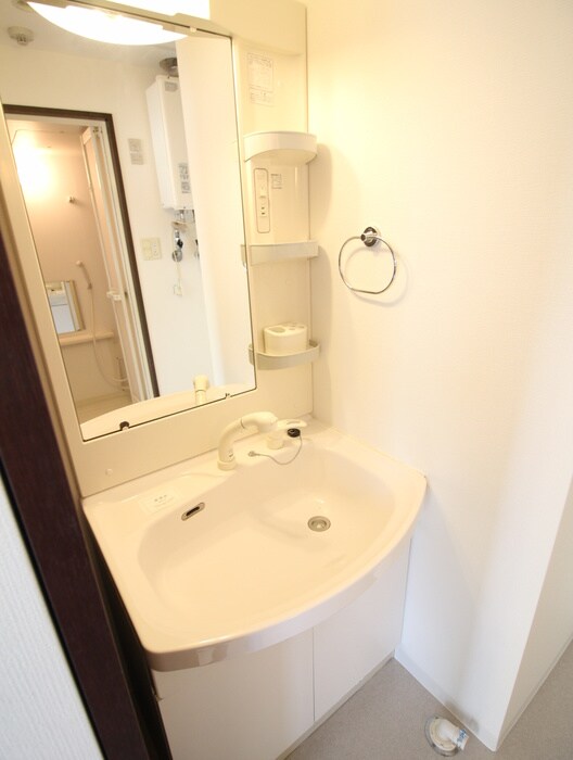 洗面 メゾン・ド・ヴィレ桑園