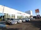 コープ(スーパー)まで500m ＥＭＩＮＥＮＣＥ美園８５