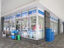 ローソン 札幌南3東3丁目店(コンビニ)まで220m アルファタワ－札幌南４条