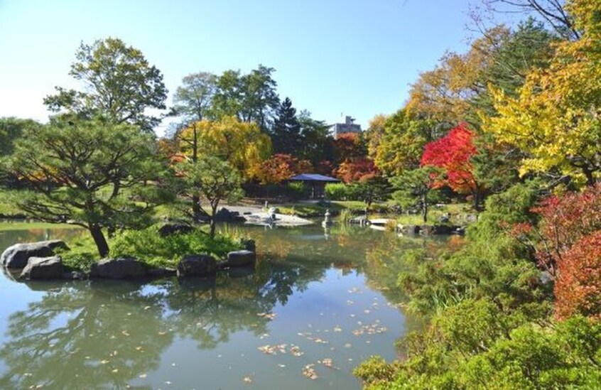 中島公園(公園)まで1220m ル－ブル５条館