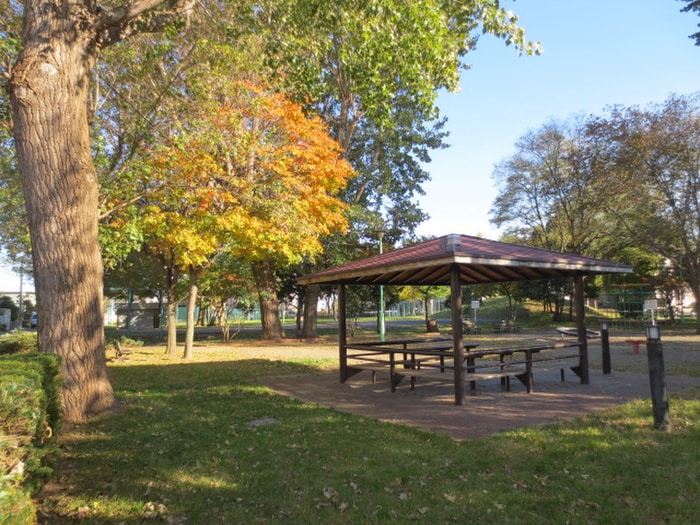 その他 La Causa N22