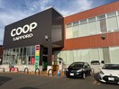 コープさっぽろ(スーパー)まで400m ガイアールS19