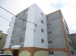 ＲＯＳＥ　ＷＯＯＤ　Ｎ10