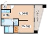 シティテラス南５条 1LDKの間取り