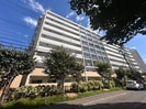 ホ－リ－フォ－ト南平岸の外観