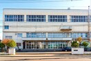 札苗北小学校(小学校)まで450m 佐藤邸東苗穂８－２