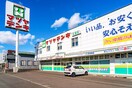 マツヤデンキ(電気量販店/ホームセンター)まで170m 佐藤邸東苗穂８－２
