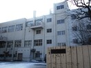 みどり小学校(小学校)まで750m ﾌｧﾝﾀｼﾞｰｱﾍﾞﾆｭｰ広和 No.17