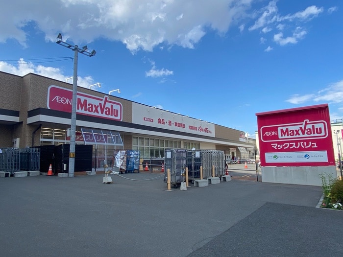 マックスバリュ(スーパー)まで300m リヴィエールS10