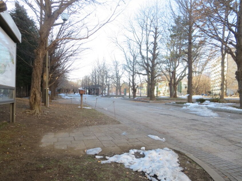 中島公園(公園)まで280m ノ－ブル中島公園