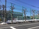 札幌市立桑園小学校(小学校)まで500m 桑園ブロードハイツ（201）