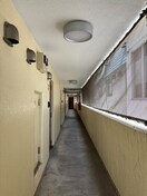 その他 ｷｬｽﾃｨ　86