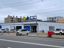サツドラ(ドラッグストア)まで974m ｷｬｽﾃｨ　86
