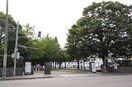 北海道大学(大学/短大/専門学校)まで300m アルファスクエア北１３条