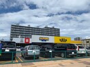 サツドラ(ドラッグストア)まで1001m カ－ムシティ西町