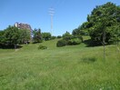 平岸高台公園(公園)まで150m 平岸ｸﾞﾗﾝﾄﾞﾊｲﾂ