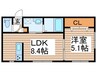 Roi Copine 1LDKの間取り