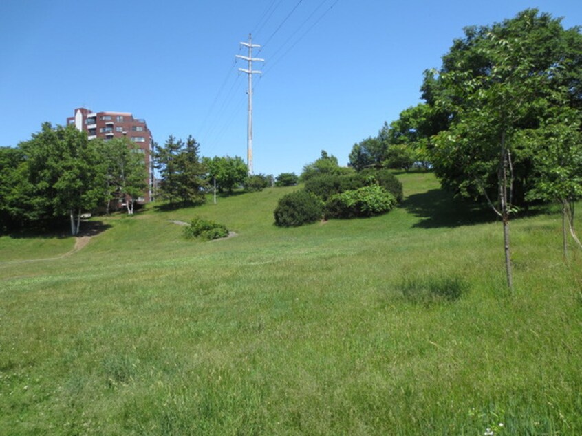 平岸高台公園(公園)まで400m 平岸ル－ム１２