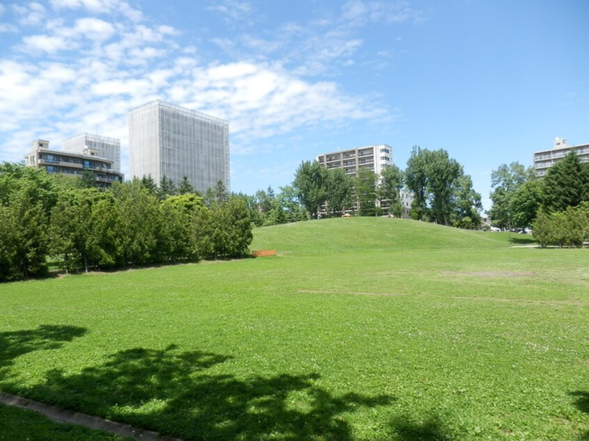 南郷丘公園(公園)まで893m ベルヴィコート本通Ⅲ