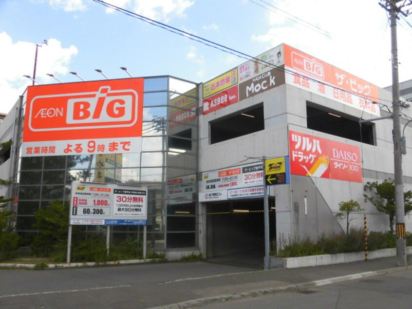 ザ・ビッグ豊平店(スーパー)まで400m ＴＯＡマンション