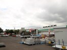 ビバホーム(電気量販店/ホームセンター)まで2400m ＣＥＲＩＳＩＥＲ新琴似