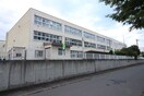 西白石小学校(小学校)まで230m レジデンス白石中央Ⅰ
