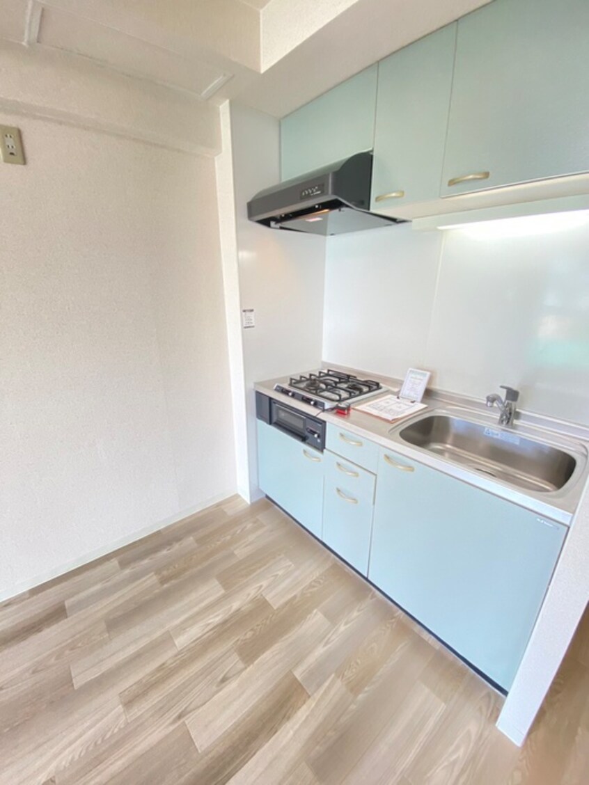 キッチン 円山パ－クハイツ