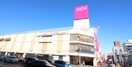 イオン琴似店(ショッピングセンター/アウトレットモール)まで270m ベルフル－ル琴似