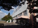 札幌市立山鼻小学校(小学校)まで450m ＭＩやまはな北棟