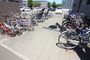 駐輪場 白南ハイツ８