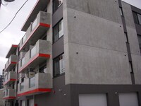 セントポーリアクラリス