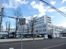 北海道がんセンター(病院)まで346m セントポーリアクラリス